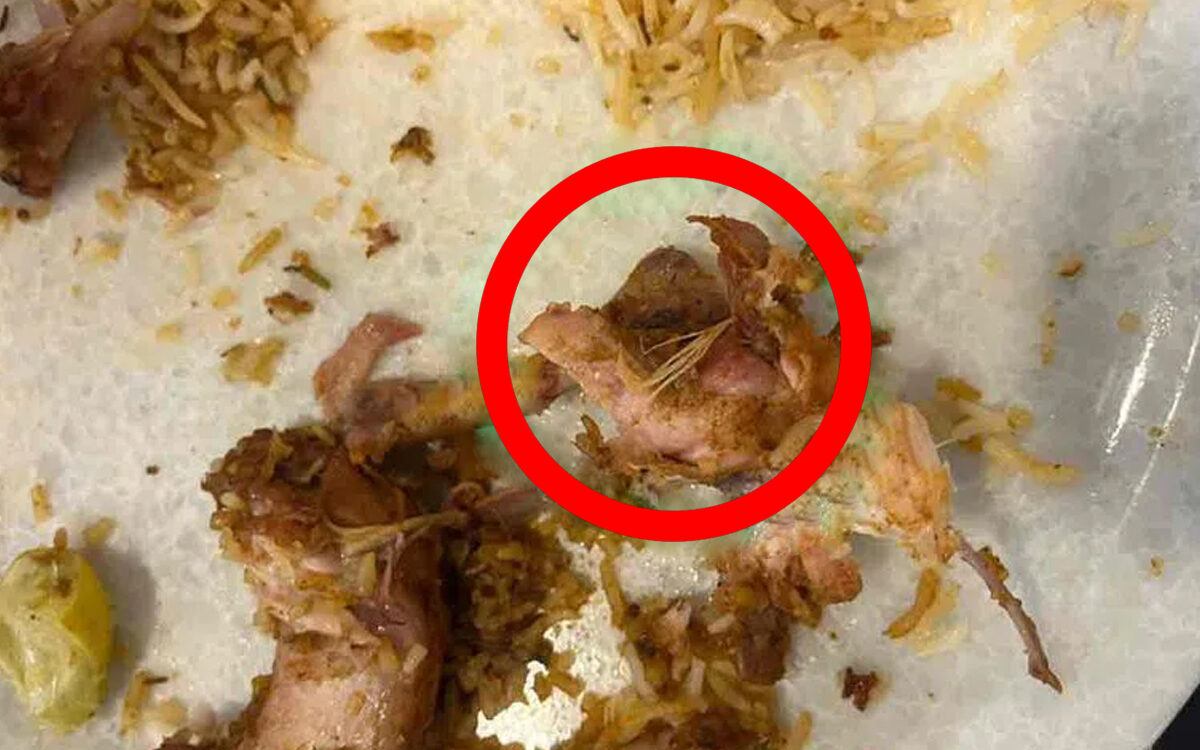 Chicken Feathers in Found Biryani, Food Safety Raid Uncovers Rotten Meat at 4 Chillies Near OU