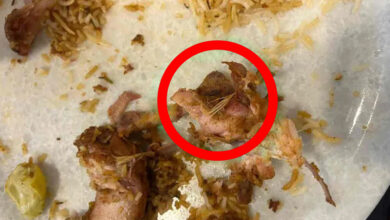 Chicken Feathers in Found Biryani, Food Safety Raid Uncovers Rotten Meat at 4 Chillies Near OU