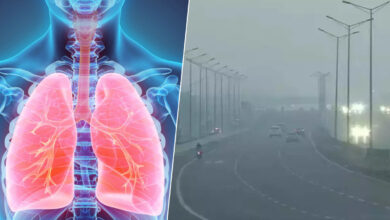 Hyderabad Cold Weather Sparks 10% Jump in Lung Disease Cases; Experts Warn of Tougher Months Ahead, what to do?