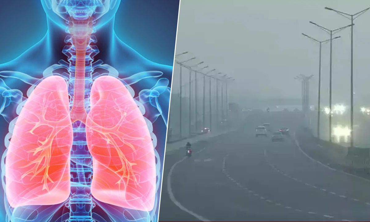Hyderabad Cold Weather Sparks 10% Jump in Lung Disease Cases; Experts Warn of Tougher Months Ahead, what to do?