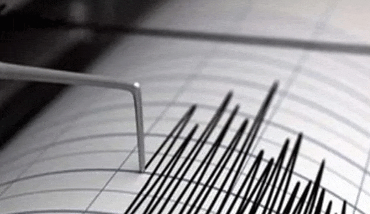 Vizag, Alluri districts of Andhra jolted by tremors