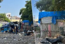 HYDRAA Clarifies, No Demolitions at Nalla Cheruvu, Area Cleared Peacefully by Garbage Collectors Themselves