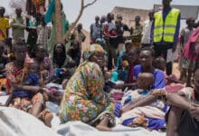 Summary executions, sexual violence in Sudan's El Fasher continue: UN