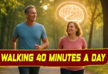 Walking 40 Minutes a Day Can Boost Memory and Brain Health, Research Reveals