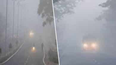 Cold Wave Tightens Its Hold on Hyderabad; Ibrahimpatnam Records Lowest of The Season