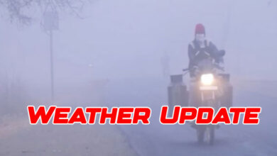 Cold Wave Eases in Telangana, Rain Alert Issued for Southern Districts