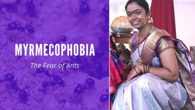 Fear of Ants Turns Tragic: 25-Year-Old Hyderabad Woman Ends Life Due to Myrmecophobia
