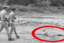 Telangana Horror: Headless, Mutilated Body of Woman Found in Nizamabad; Second Such Murder Within a Month