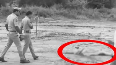 Telangana Horror: Headless, Mutilated Body of Woman Found in Nizamabad; Second Such Murder Within a Month