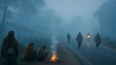 Cold Wave Grips Hyderabad, Visibility Drops in Several Areas Due to Fog, Police Issue Safety Advisory