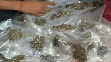 Delhi Police arrest female drug peddler, seize ganja and cash
