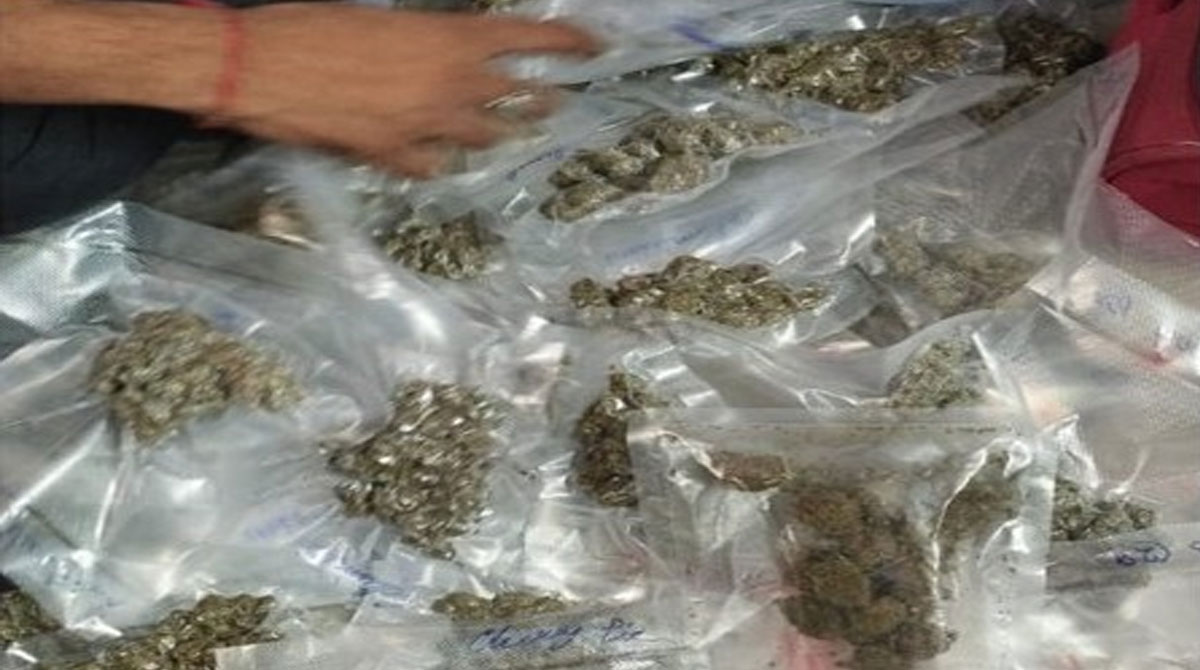 Delhi Police arrest female drug peddler, seize ganja and cash