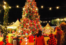 Telugu states mark Christmas celebrations with pomp & gaiety