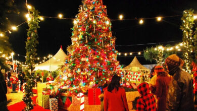 Telugu states mark Christmas celebrations with pomp & gaiety