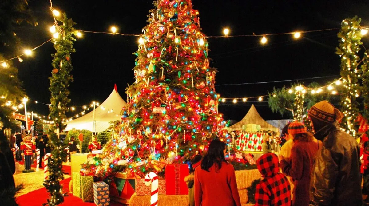 Telugu states mark Christmas celebrations with pomp & gaiety