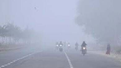 Fog, strong winds forecast across Tamil Nadu over next two days