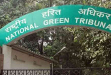 NGT Orders New Inspection on Alleged Forest Encroachment in Delhi’s Saket