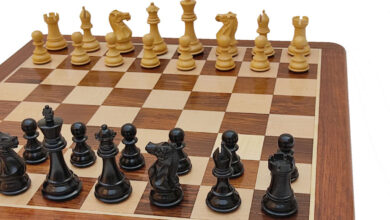 Telangana to Host Record-Breaking ₹22.22 Lakh Chess Tournament at HITEX This December