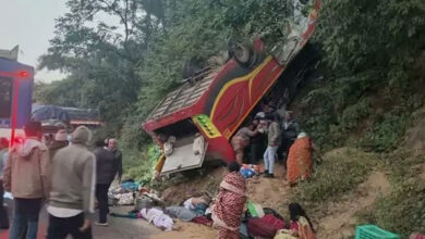 Nine pilgrims die as bus falls into gorge in Andhra