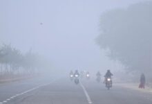 Yellow alert for cold wave in five Rajasthan districts