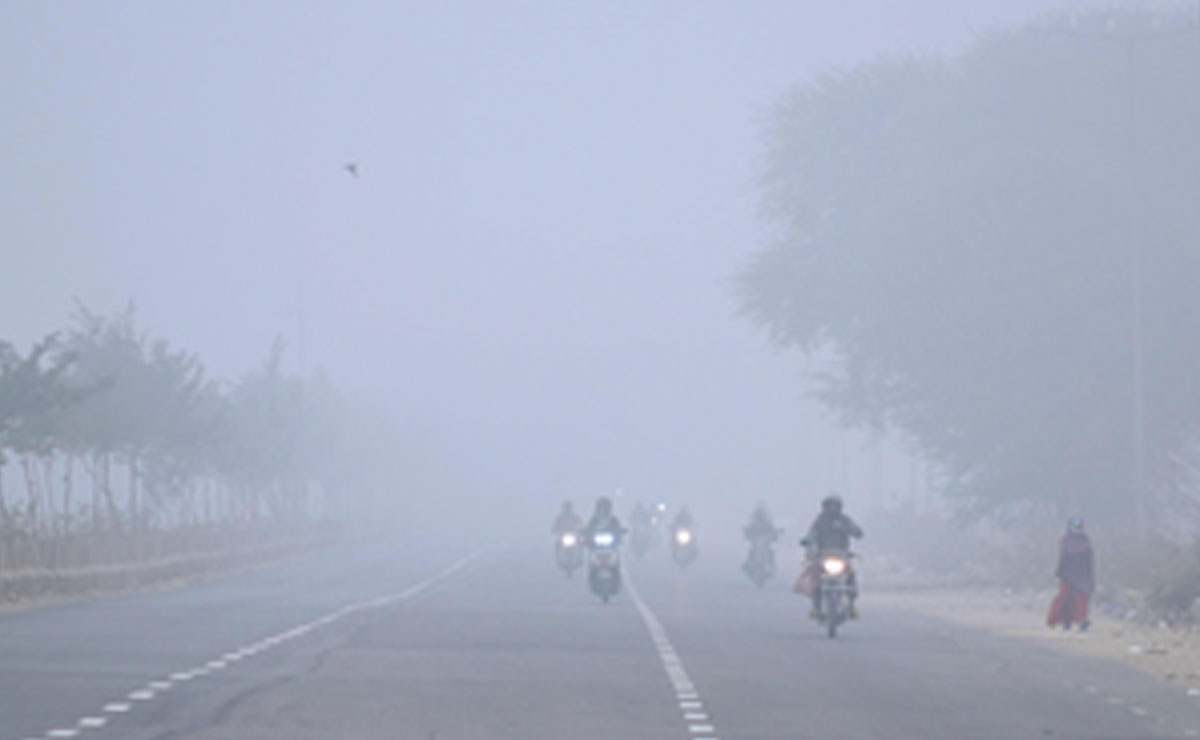Yellow alert for cold wave in five Rajasthan districts