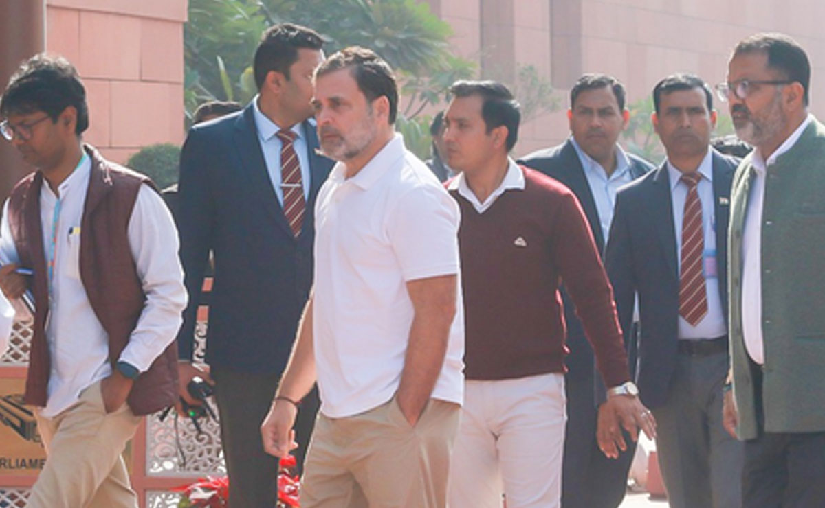 'He was very nervous, his hands were trembling': Rahul Gandhi on Amit Shah's LS speech