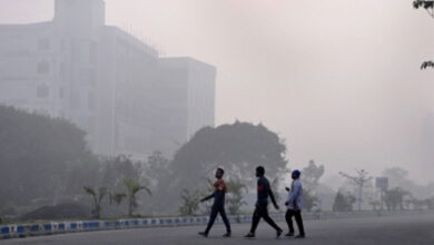 Environmentalist raises concern over rising pollution levels in Kolkata's Maidan area