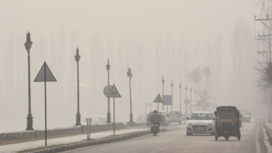 Cold wave continues in Kashmir; day temperature drops to 7