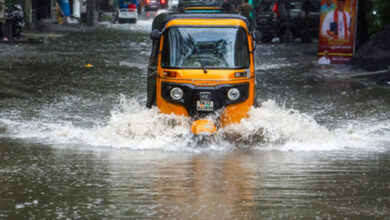Holiday declared in schools, colleges in four TN districts after heavy rain forecast