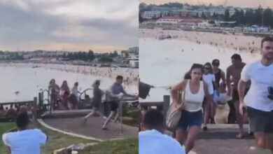 Israeli President condemns attack on Jewish community event in Sydney