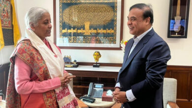 Assam CM meets FM Sitharaman, discusses key issues of development