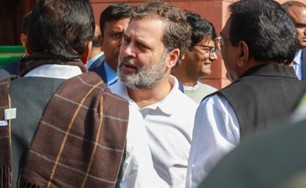 'What did the poor dog do?' Rahul comes in support of Renuka over canine row