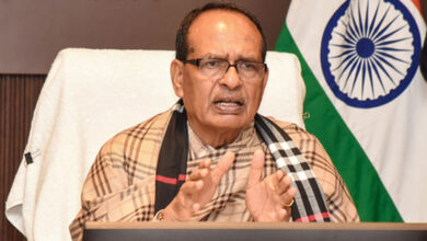 Govt to introduce bill against fake fertilisers, pesticides in next Parliament session