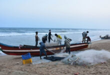 Sri Lankan Navy arrests 12 TN fishermen, impounds trawler near Dhanushkodi
