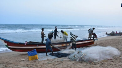 Sri Lankan Navy arrests 12 TN fishermen, impounds trawler near Dhanushkodi