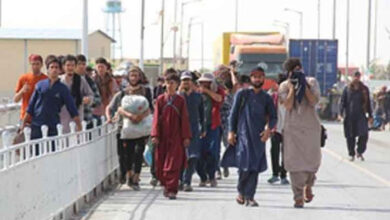 Over 2,000 Afghan refugees deported from Iran, Pakistan in single day: Taliban