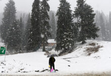 New Year’s Eve Snowfall Delights Tourists in Kashmir’s Higher Reaches