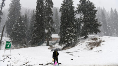 New Year’s Eve Snowfall Delights Tourists in Kashmir’s Higher Reaches