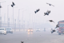 Air pollution can heighten anxiety and trigger panic-like symptoms: Doctors