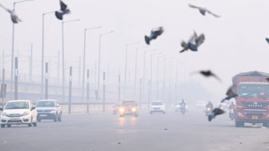 Air pollution can heighten anxiety and trigger panic-like symptoms: Doctors