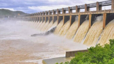 Monsoon showers boost water storage levels across Tamil Nadu