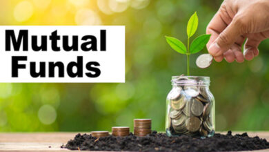 MF equity investments double in November to Rs 43,465 crore