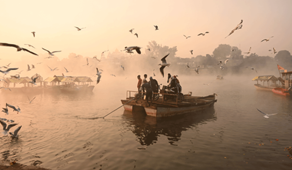 Cold wave continues in MP, temperature dips to new low at 1.8 deg C