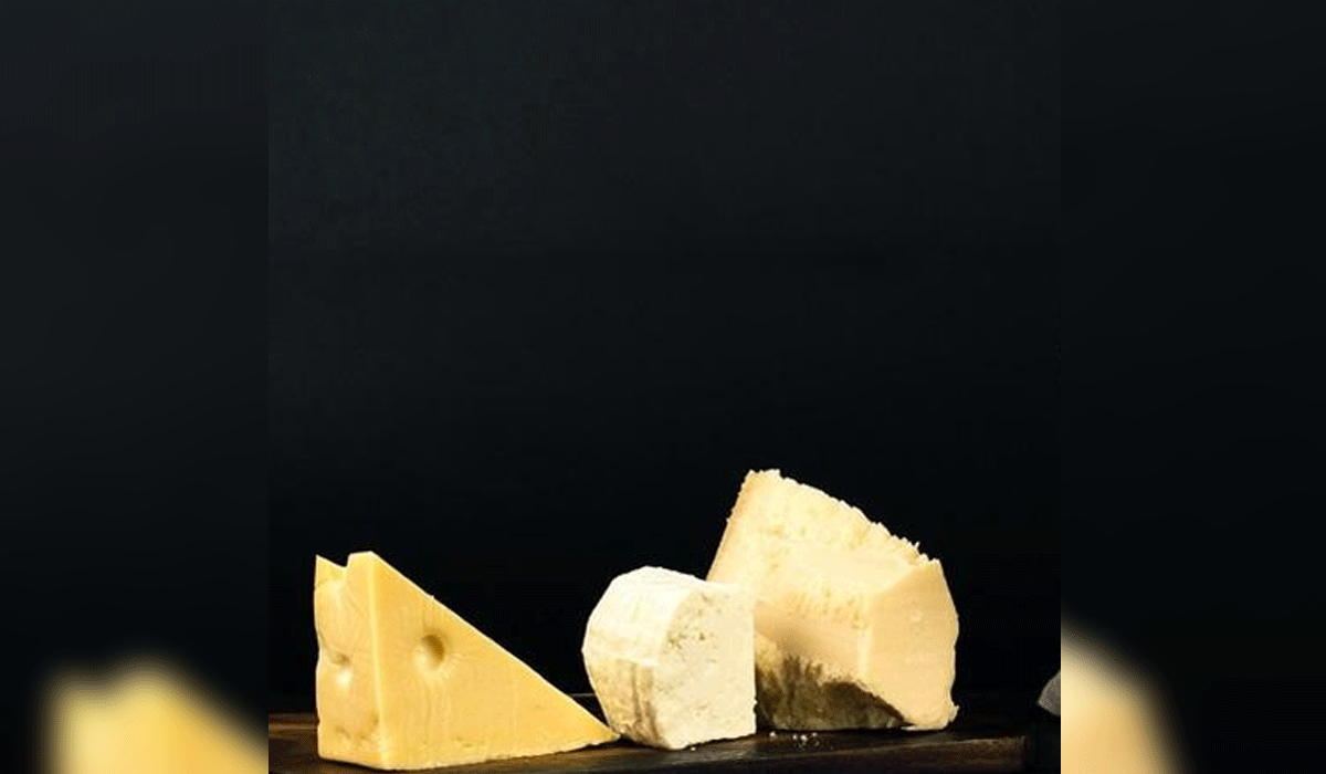 Is high-fat cheese healthy for your brain?