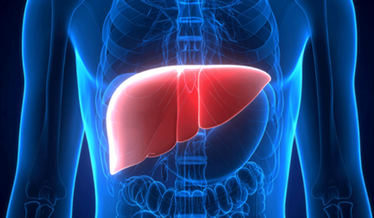 New monoclonal antibody safe and effective for rare liver disease