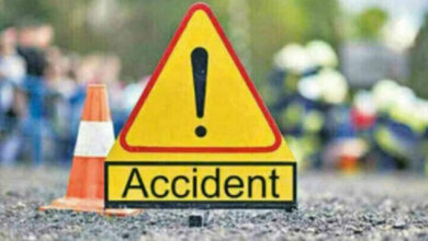 Seven killed in two roads accidents in Andhra Pradesh