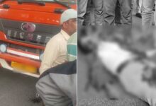 Hyderabad Tragedy, DCM Lorry Mows Down Traffic Policeman Near Attapur, Constable Dies on Spot