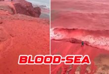 Not AI, Not Fake, Iran’s Sea Appeared Blood-Red in Viral Footage — Here’s Why