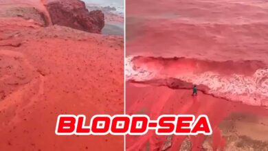 Not AI, Not Fake, Iran’s Sea Appeared Blood-Red in Viral Footage — Here’s Why