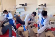 Doctor Seen Beating Patient at IGMC Shimla, Incident Triggers Massive Protest